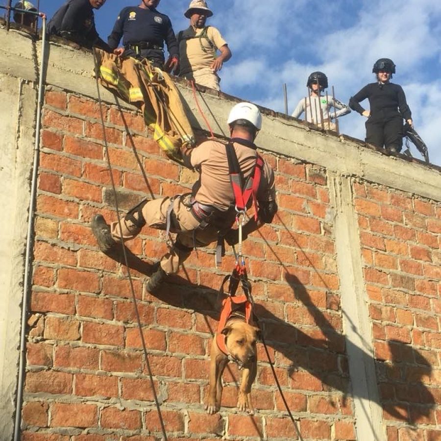 Búsqueda y rescate 