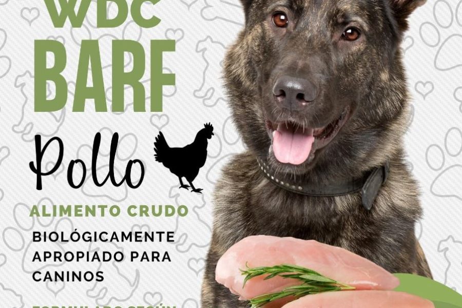 Asesoría en Nutrición