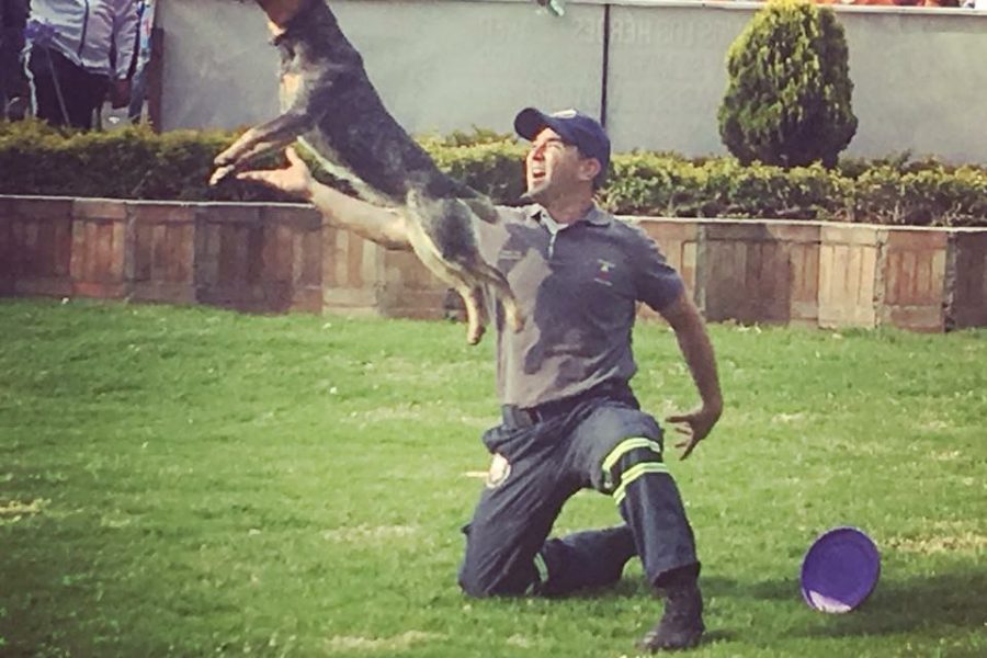 Competencias Deportivas y Muestras Caninas