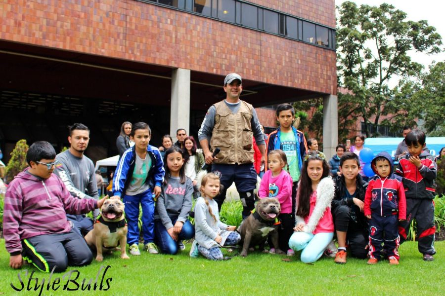 Programa de Intervención Asistida con Perros